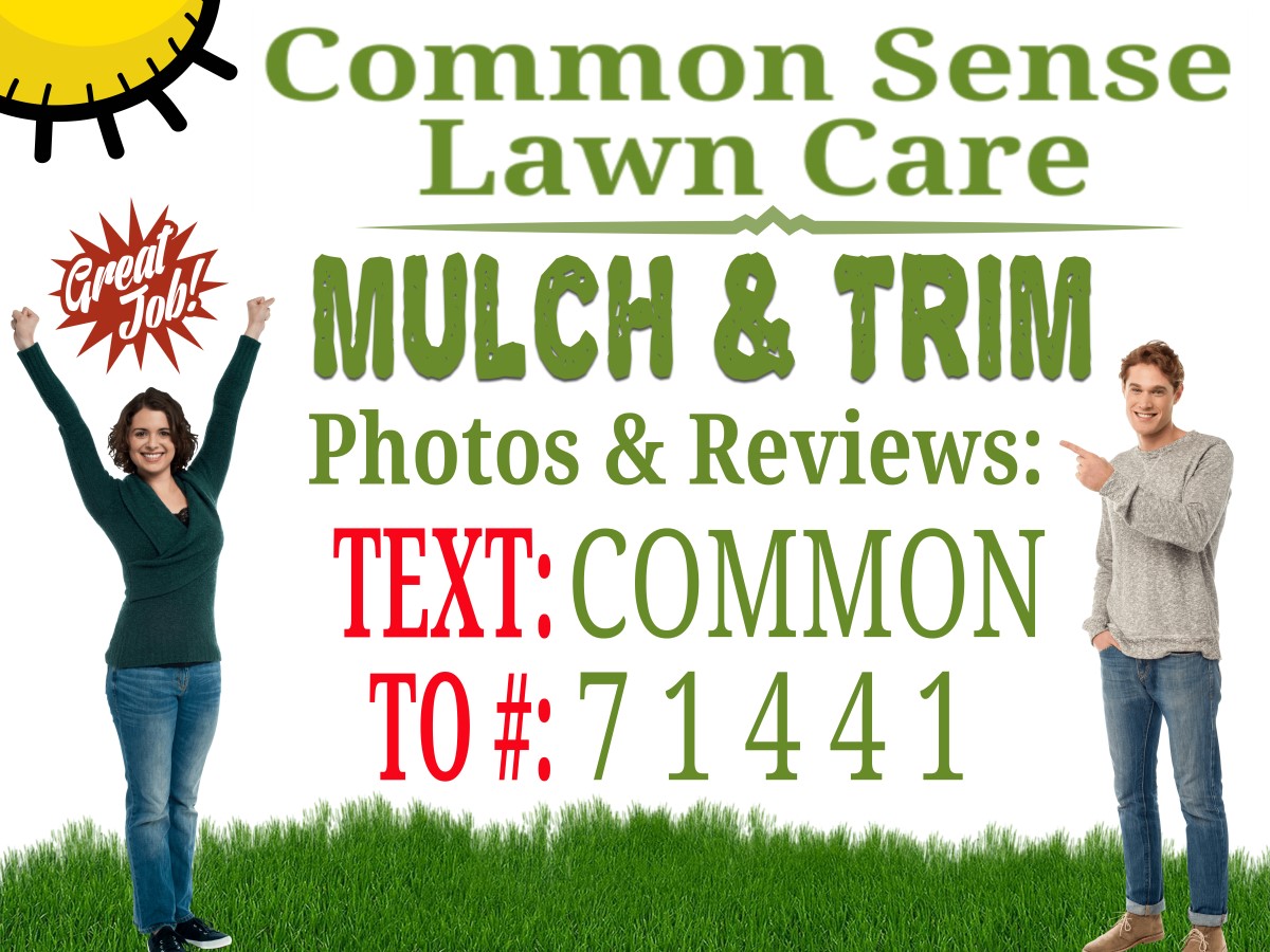 Common Sense Lawn Care